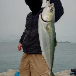 情報どおりでした